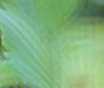 �C���[�W�ʐ^4